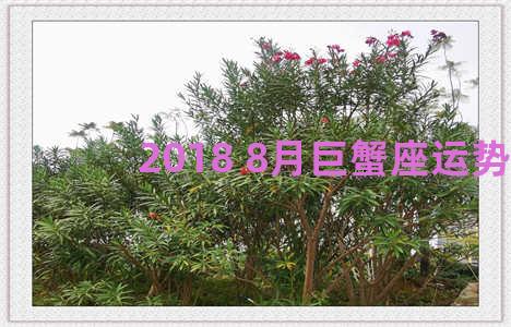 2018 8月巨蟹座运势